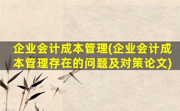企业会计成本管理(企业会计成本管理存在的问题及对策论文)